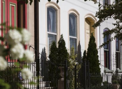 Row of colorful townhouses is partially visible through leafy branches and white flowers in the foreground.