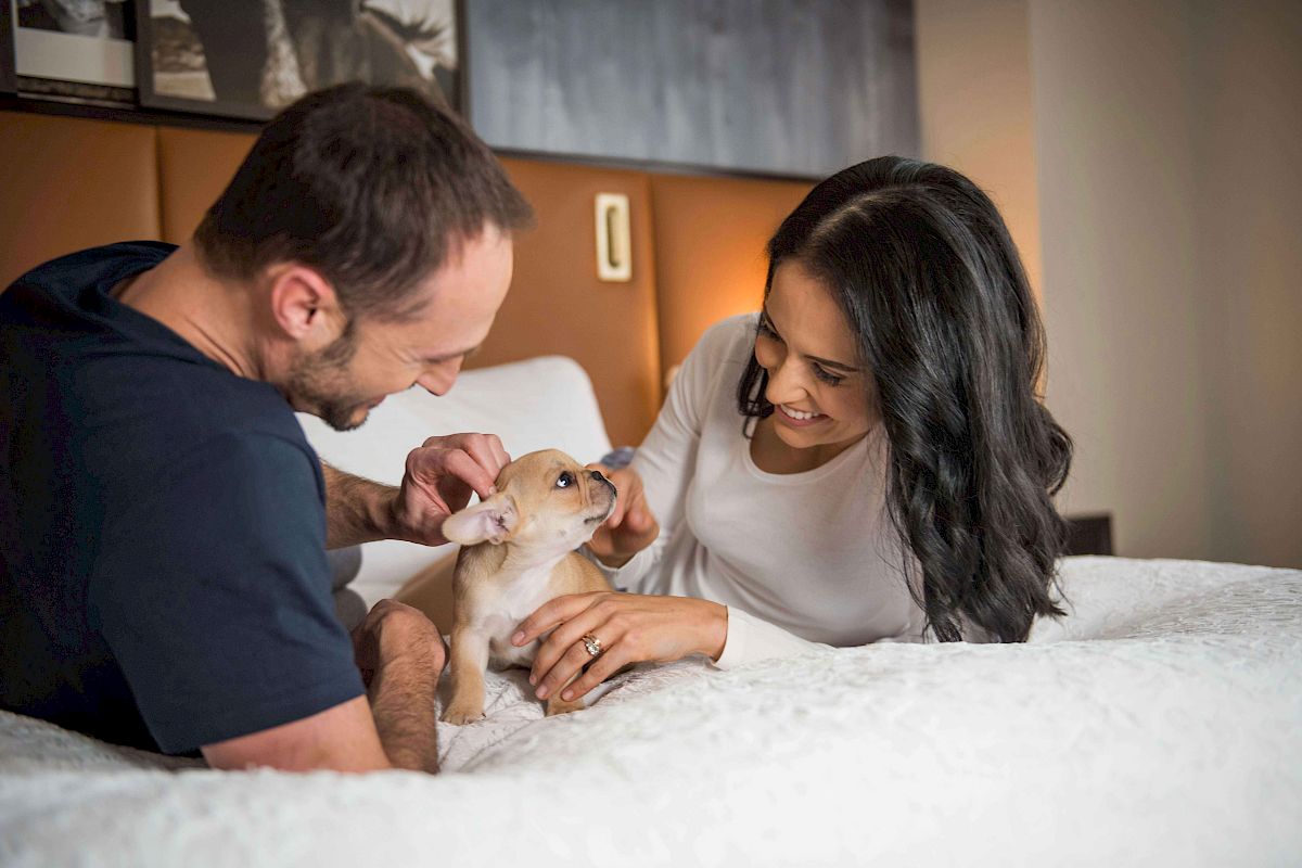 A couple is playing with a small dog on a bed, smiling and enjoying their time together.
