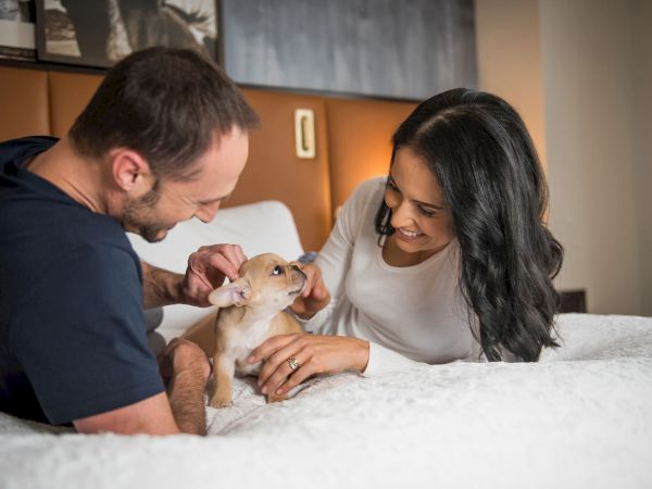 A couple is happily playing with a small dog on a bed, both smiling as they enjoy the moment together.