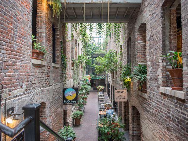 A charming alley with brick walls, lush plants, hanging greenery, and small shop signs creates a cozy, inviting atmosphere.