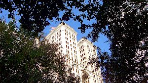 A white building with trees in front of it under a blue sky.