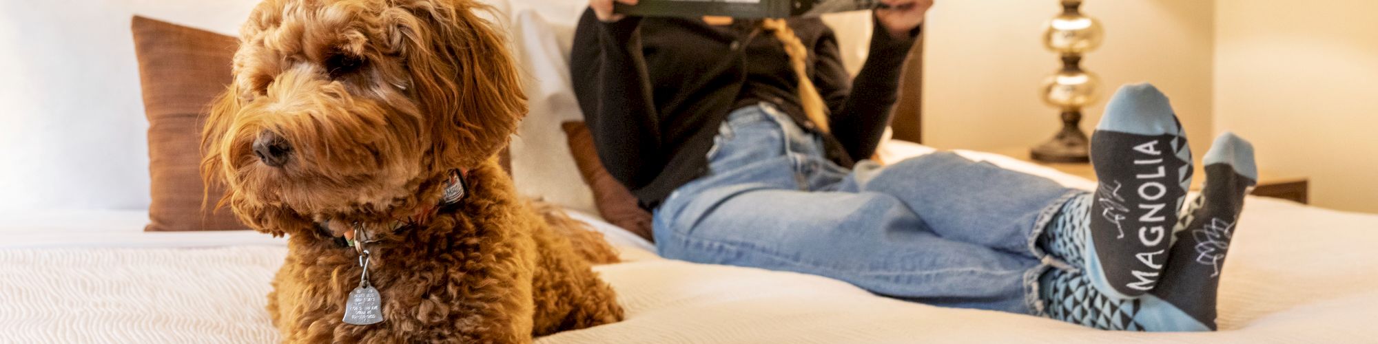 Magnolia Hotels